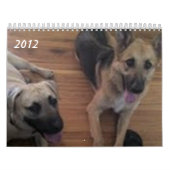 Bajaかヘラクレス カレンダー (カバー)