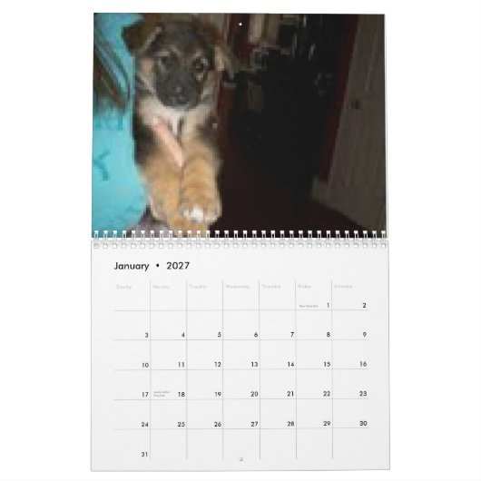 Bajaかヘラクレス カレンダー (1月 2027)