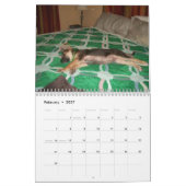 Bajaかヘラクレス カレンダー (2月 2027)