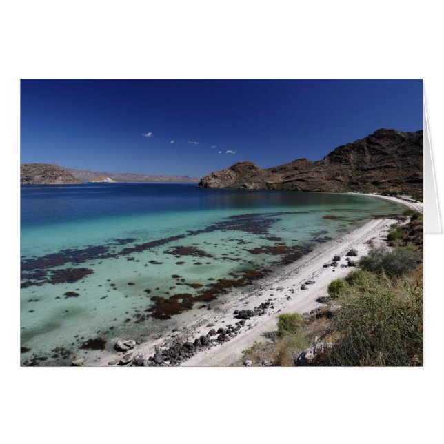 Bajaの概念湾 (正面横)