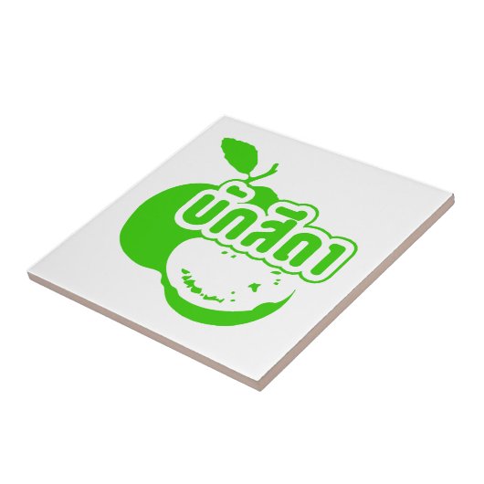 Bak Sida ☆ Farang 書 in Thai Isaan Dialect ☆ タイル (側面)