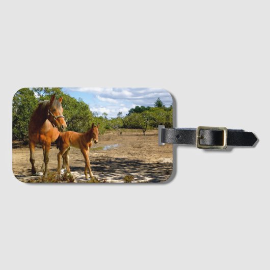 Balance ラゲッジタグ (正面横)