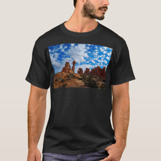 Balanced Rock Arches National Park Tシャツ