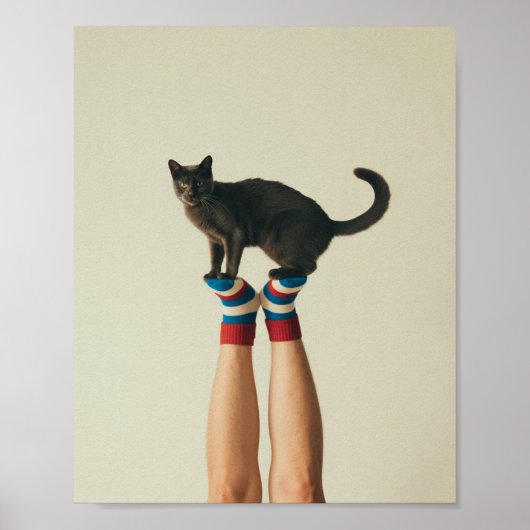 Balancing Cat on Striped Socks, Black Cat ポスター (正面)