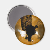 Bald American Eagle in Flight マグネット (正面/裏面)