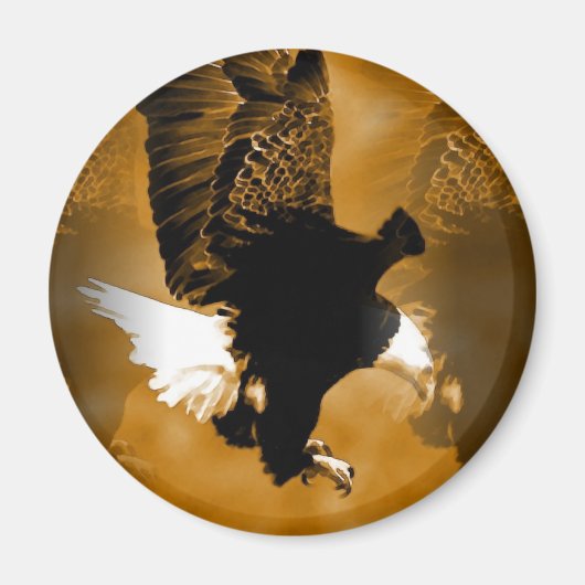 Bald American Eagle in Flight マグネット (正面)