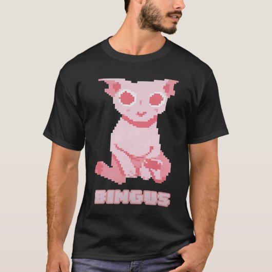 Bald Bingus My Beloved Hairless Sphinx Cat Tシャツ (正面)