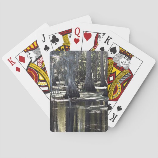 Bald Cypress トランプ (裏面)
