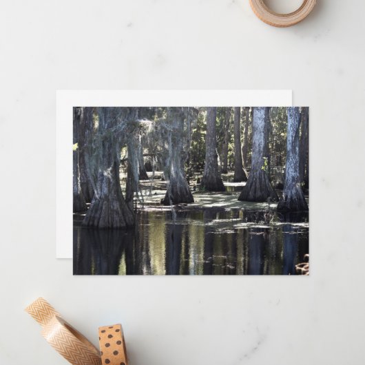 Bald Cypress ノートカード (正面/裏面インサイチュ)