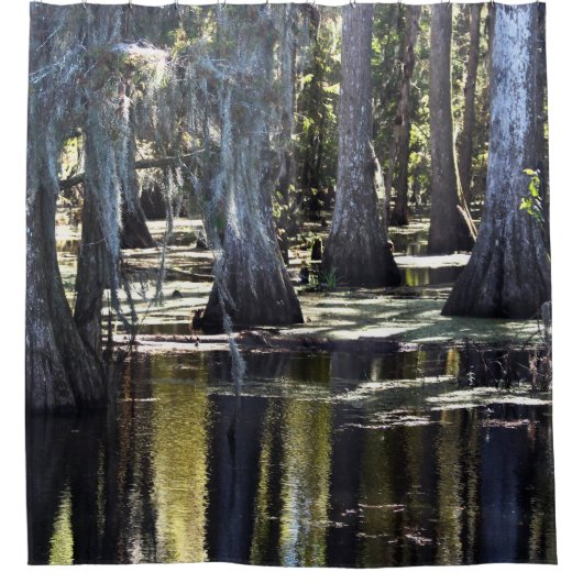 Bald Cypress Trees シャワーカーテン (正面)