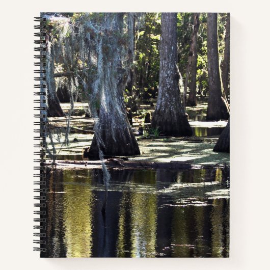 Bald Cypress Trees ノートブック (正面)