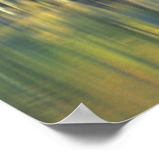 Bald Cypress Trees | Horseshoe Lake Illinois ポスター (角)