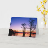 Bald Cypress Trees | National Wildlife Refuge, TN カード (黄色い花)