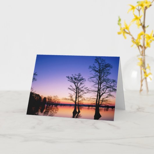 Bald Cypress Trees | National Wildlife Refuge, TN カード (黄色い花)