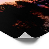 Bald Cypress Trees | National Wildlife Refuge, TN ポスター (角)