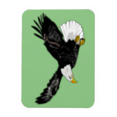 Bald Eagleが色飛んでいるを引き付ける マグネット (縦)
