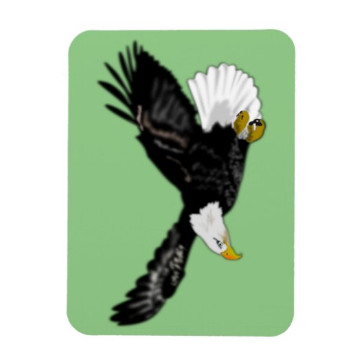 Bald Eagleが色飛んでいるを引き付ける マグネット (縦)