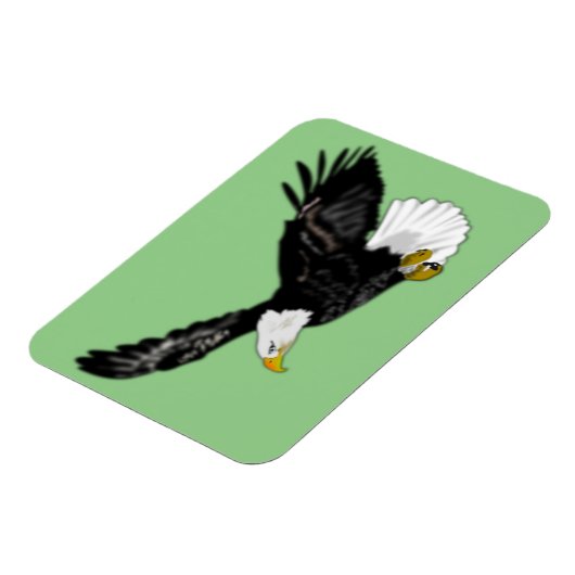 Bald Eagleが色飛んでいるを引き付ける マグネット (左側)