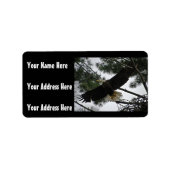 Bald Eagleの写真 ラベル (正面)