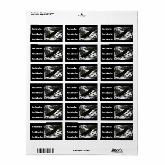 Bald Eagleの写真 ラベル (フルシート)