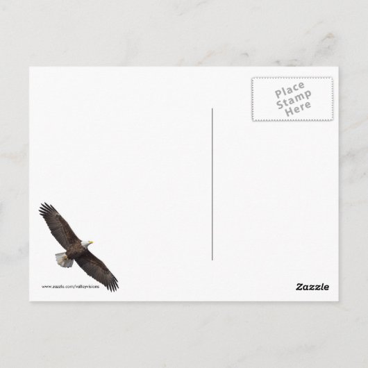Bald Eagleの発表 ポストカード (裏面)