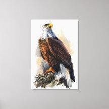 Bald Eagleの絵画キャンバス印刷