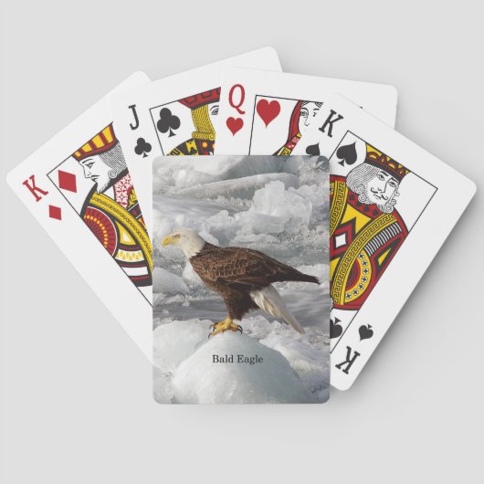 Bald Eagleの遊カード トランプ (裏面)