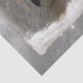 Bald Eagleアートワークのデコページ 薄葉紙 (詳細)