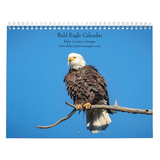 Bald Eagleカレンダー2026 カレンダー (カバー)