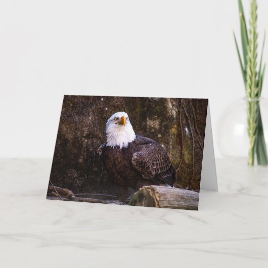 Bald Eagleグリーティングカード カード (正面)