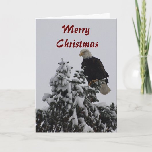 Bald Eagleグリーティングカード シーズンカード (正面)