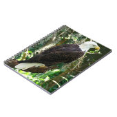 Bald Eagleスパイラルフォトノートブック ノートブック (左側)