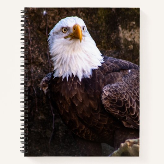 Bald Eagleノートブック ノートブック (正面)