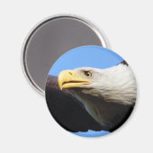 Bald Eagleプロフィール マグネット (正面/裏面)