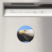 Bald Eagleプロフィール マグネット (インサイチュ (食洗機))