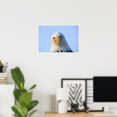 Bald Eagleポスター ポスター (ホームオフィス)