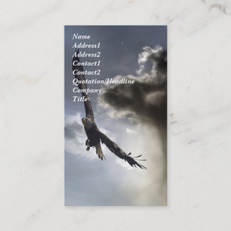 Bald Eagle名刺 名刺