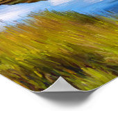 Bald Eagle魚釣りDenali 24インチx 18インチアーカイブ紙 ポスター (角)