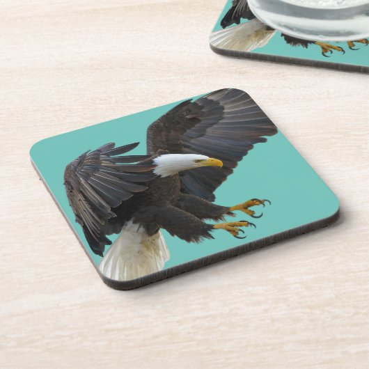 Bald eagle コースター (左側)