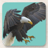 Bald eagle コースター (正面)
