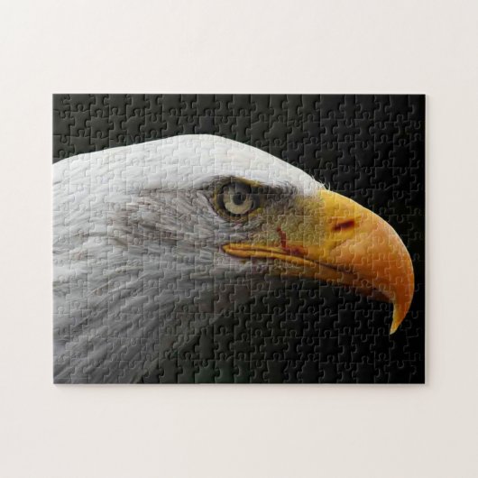 Bald Eagle 11x14 252pc jpa ジグソーパズル (横)