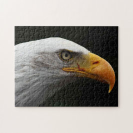 Bald Eagle 11x14 252pc jpcn ジグソーパズル