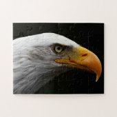 Bald Eagle 11x14 30pc jpcn ジグソーパズル (横)