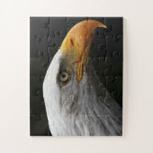 Bald Eagle 11x14 30pc jpcn ジグソーパズル (縦)