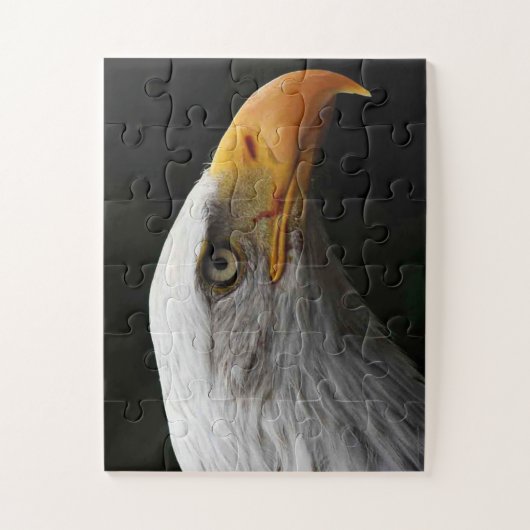 Bald Eagle 11x14 30pc jpm ジグソーパズル (縦)