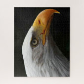Bald Eagle 16x20 520pc jpcna ジグソーパズル (縦)