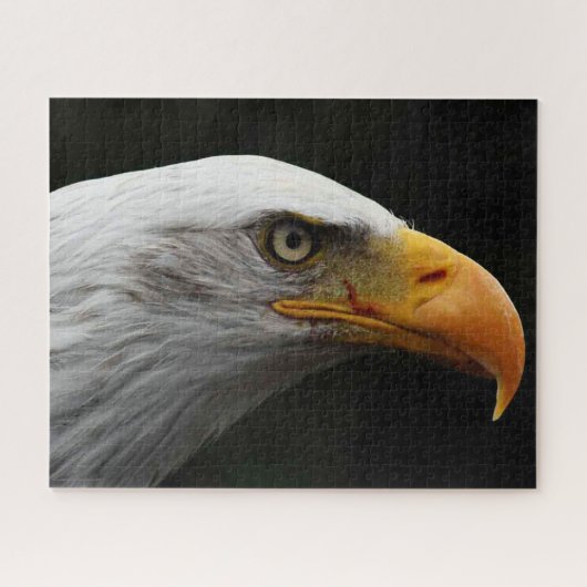 Bald Eagle 16x20 520pc jpcna ジグソーパズル (横)