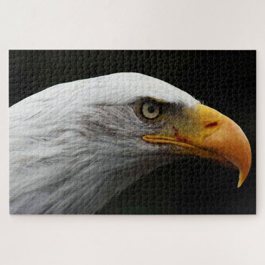 Bald Eagle 20x30 1014pc jpcn ジグソーパズル (横)