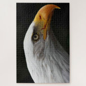 Bald Eagle 20x30 1014pc jpcn ジグソーパズル (縦)