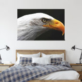 Bald Eagle 60x40 (150x100cm)ワッカン キャンバスプリント (インサイチュ (寝室))